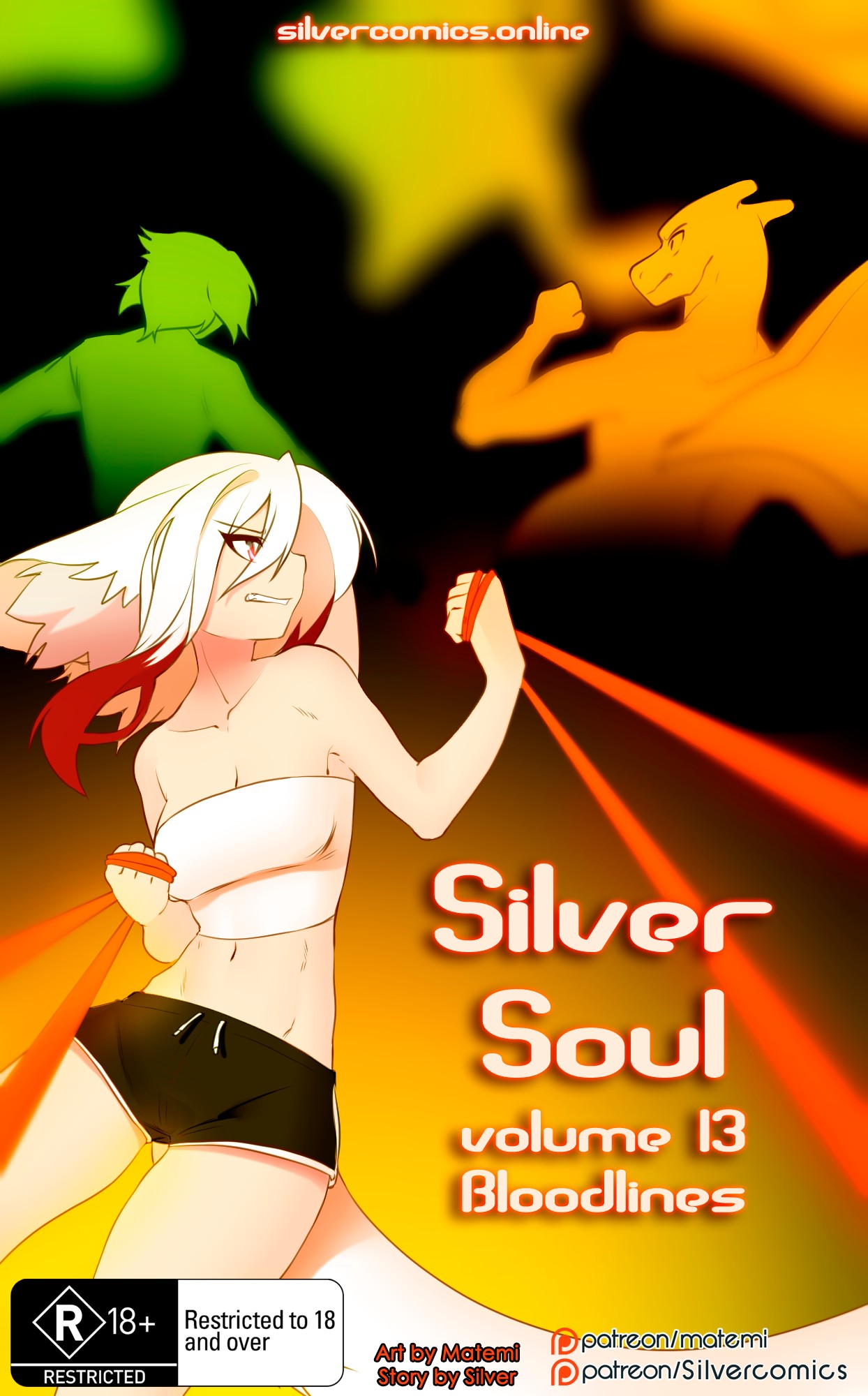 Silver Soul 13 – Matemi [photo 1] - MangaPorn