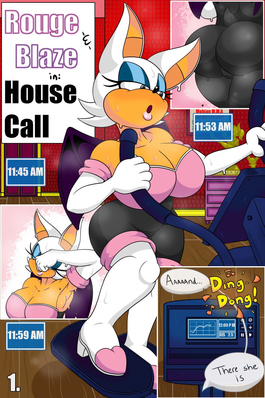 Rouge and Blaze in House Call [photo 1] - MangaPorn