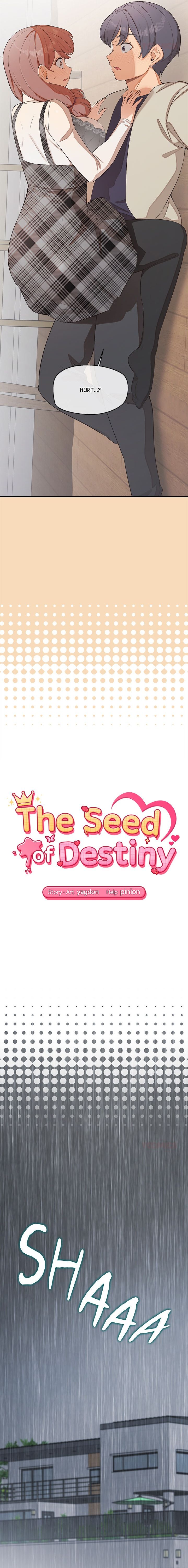 The Seed of Destiny - Chapter 26 [photo 2] - MangaPorn