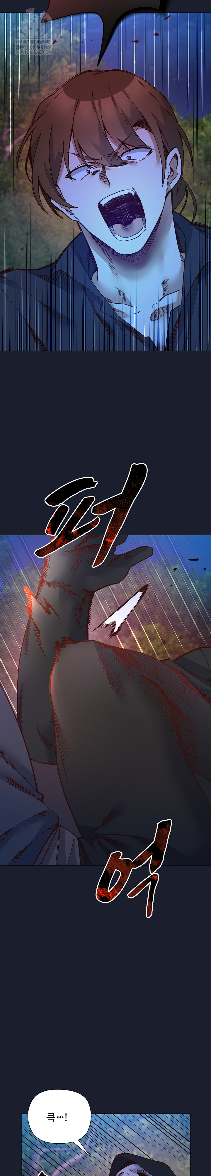 I Will Protect the Lady Raw - Chapter 51 [photo 23] - MangaPorn