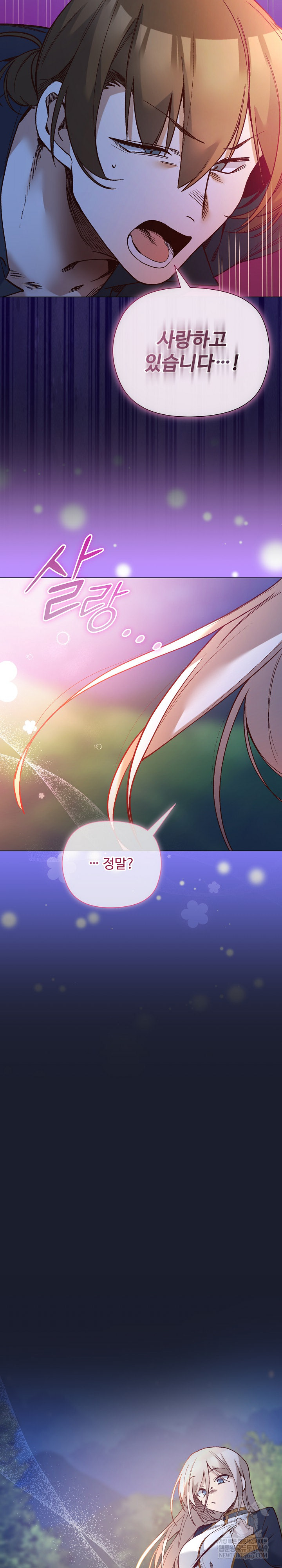 I Will Protect the Lady Raw - Chapter 53 [photo 19] - MangaPorn