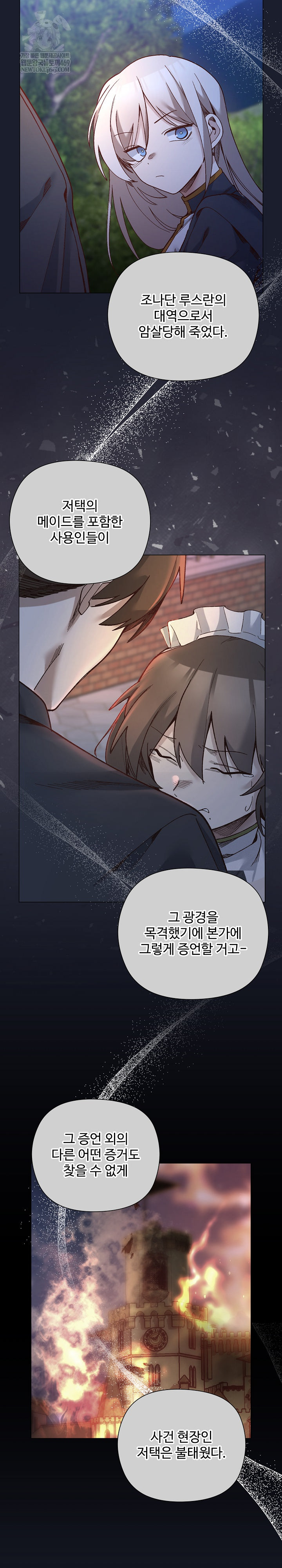 I Will Protect the Lady Raw - Chapter 53 [photo 25] - MangaPorn