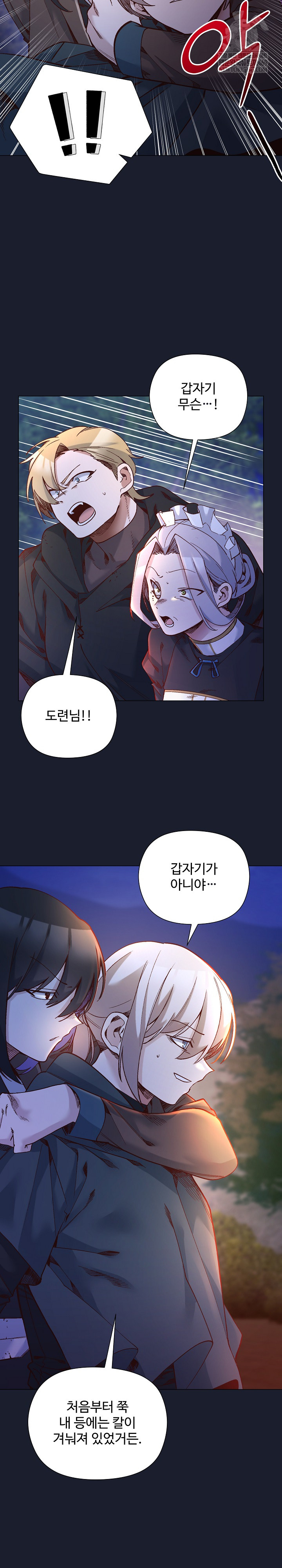 I Will Protect the Lady Raw - Chapter 53 [photo 30] - MangaPorn