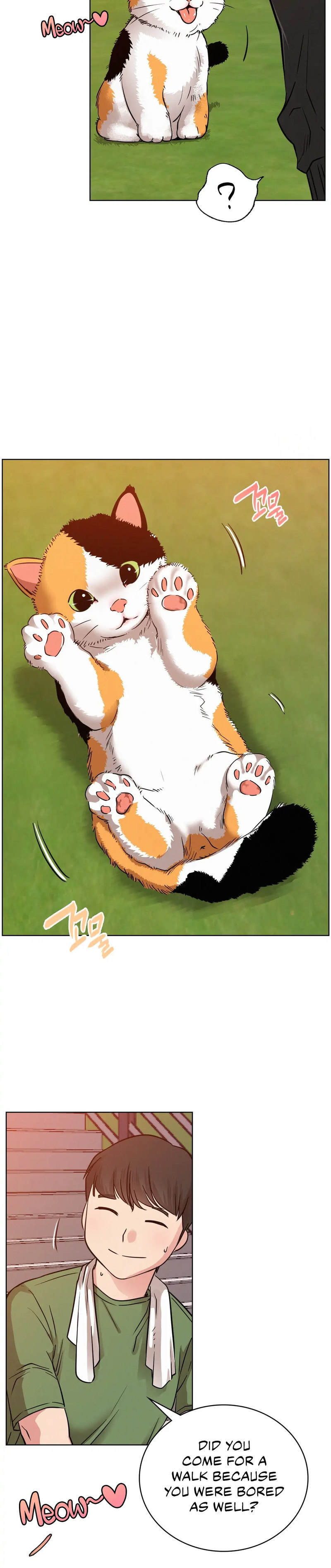 Staying with Ajumma - Chapter 33 [photo 17] - MangaPorn