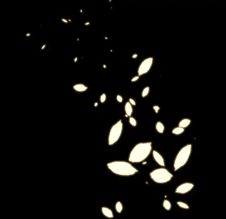 Ranunculus - Chapter 11 [photo 73] - MangaPorn