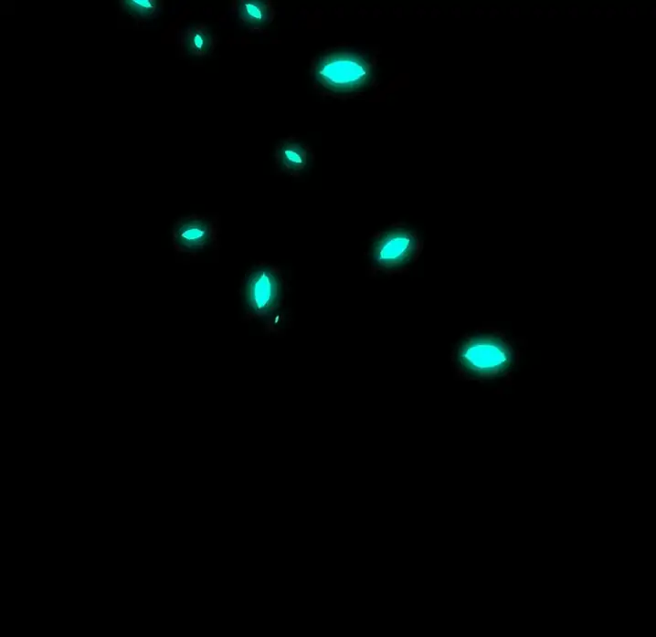 Ranunculus - Chapter 16 [photo 103] - MangaPorn