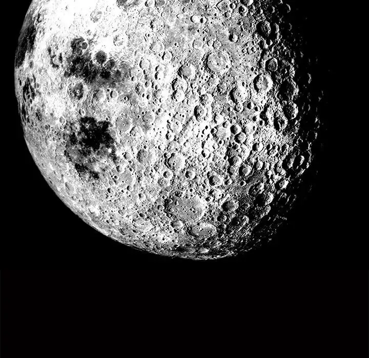 The Leash - Chapter 30 [photo 245] - MangaPorn