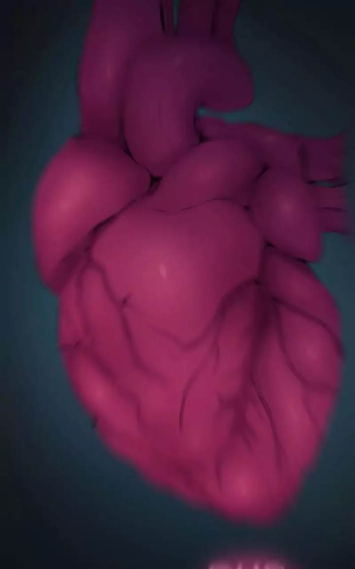 Ecstasy Hearts - Chapter 94 [photo 33] - MangaPorn