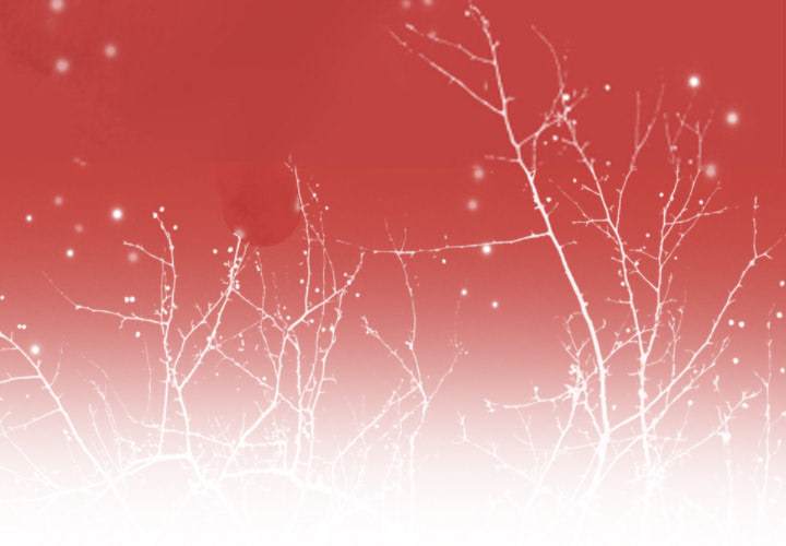 The Desperate Housewife - Chapter 32 [photo 4] - MangaPorn