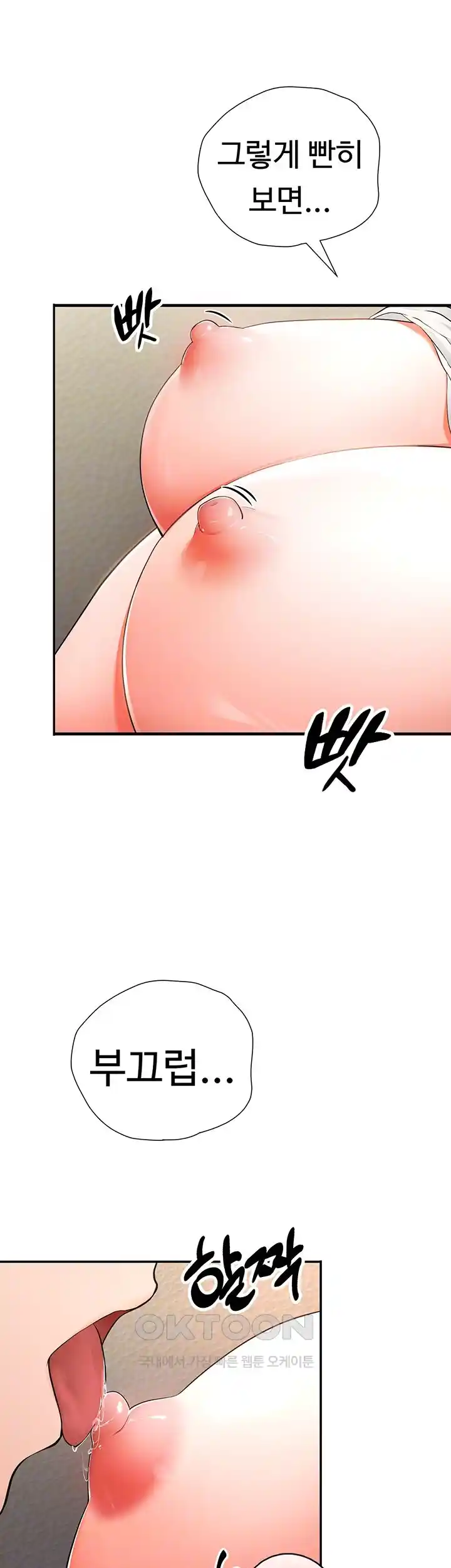 The Student Council President’s Hidden Task Is the (Sexual) Development of Female Students Raw - Chapter 2 [photo 13] - MangaPorn