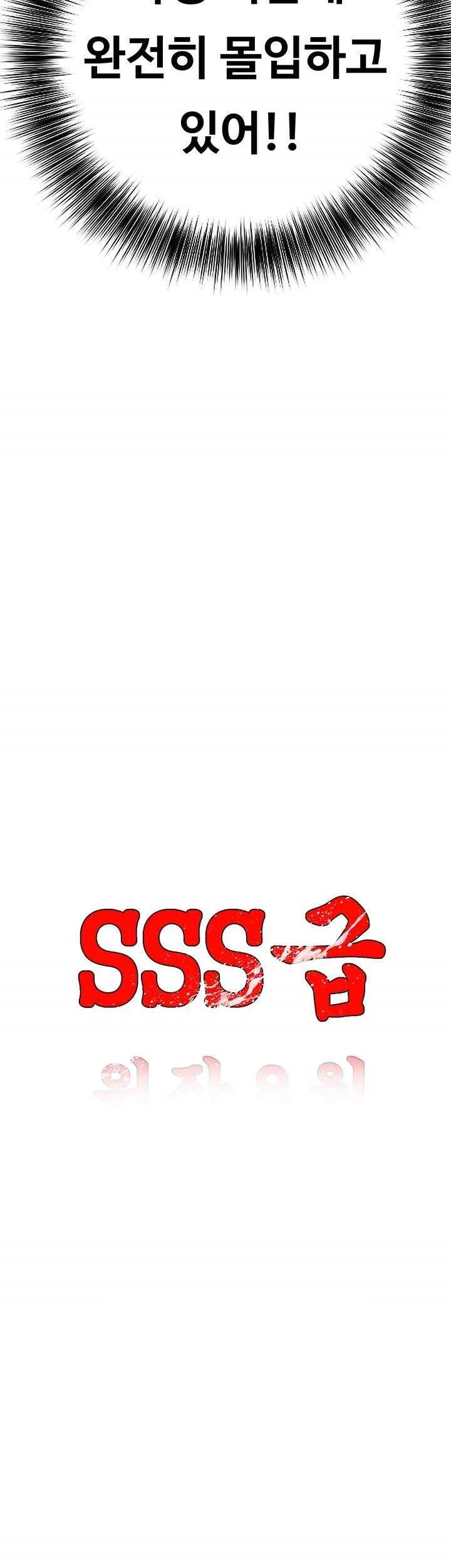 SSS-Class Undercover Agent Raw - Chapter 33 [photo 9] - MangaPorn