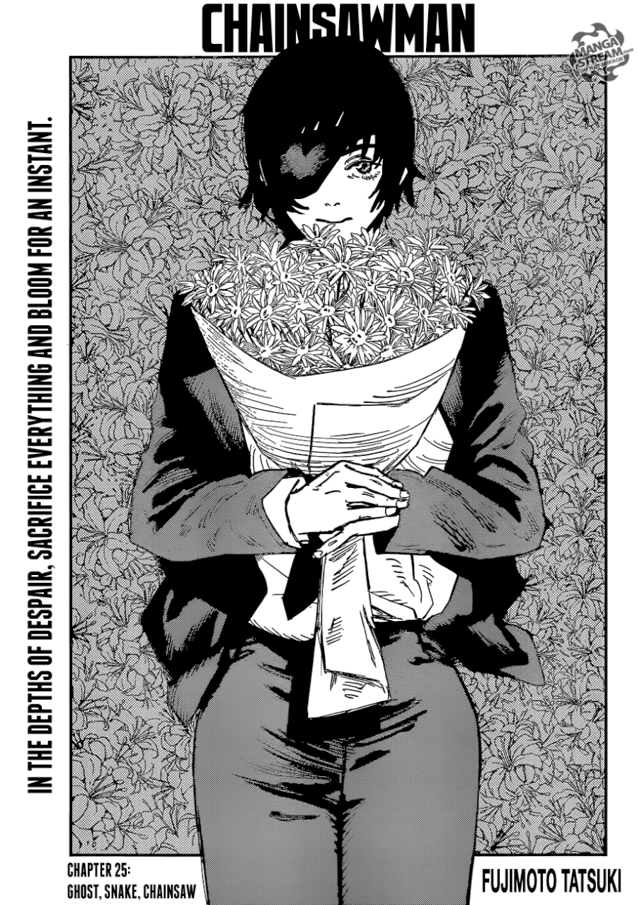 Chainsaw Man - Chapter 25 [photo 1] - MangaPorn