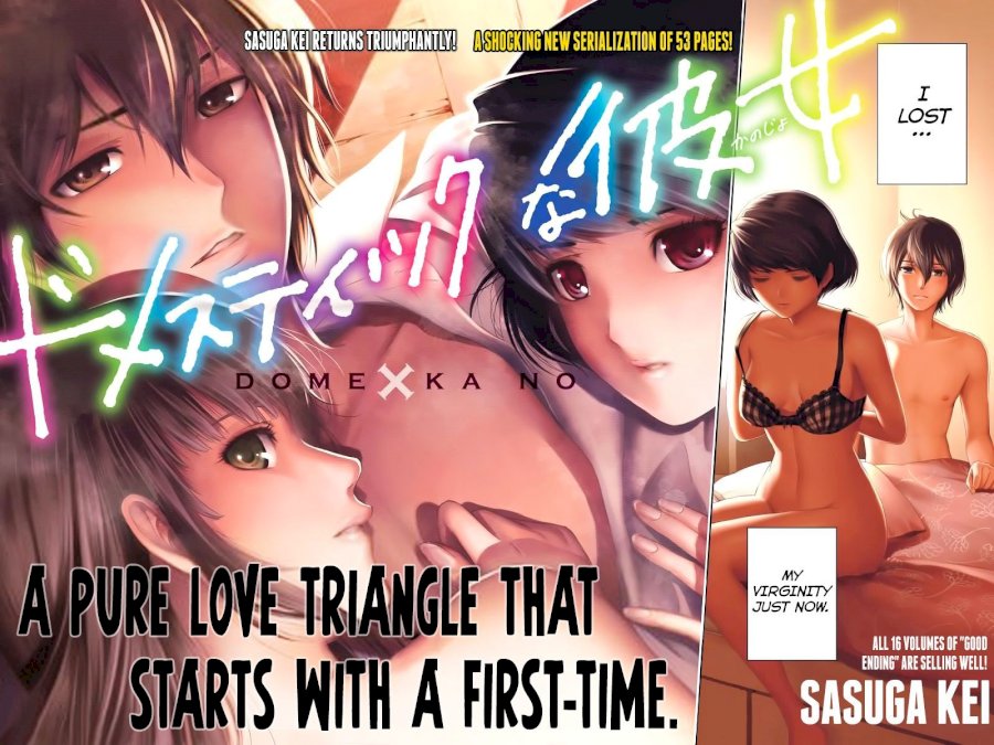 Domestic na Kanojo - Chapter 1 [photo 3] - MangaPorn