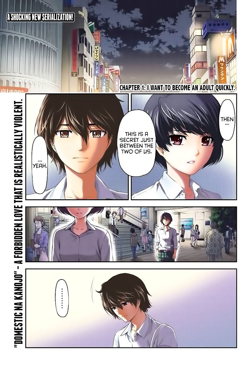 Domestic na Kanojo - Chapter 1 [photo 4] - MangaPorn