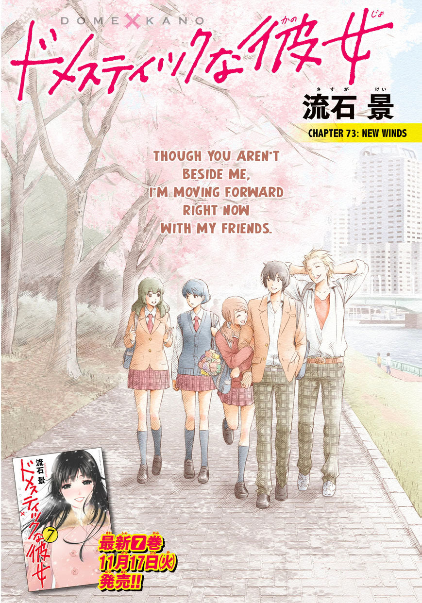 Domestic na Kanojo - Chapter 73 [photo 2] - MangaPorn