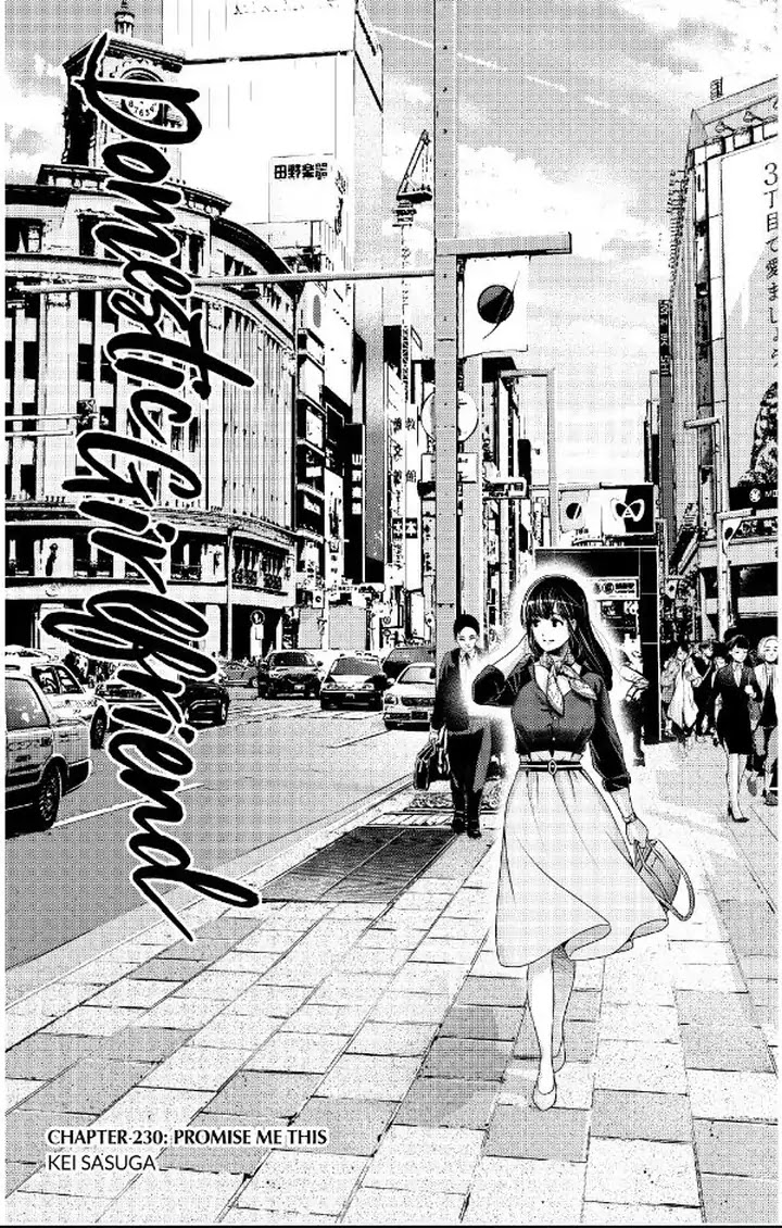 Domestic na Kanojo - Chapter 230 [photo 2] - MangaPorn