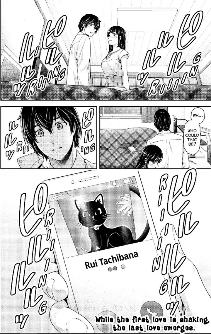 Domestic na Kanojo - Chapter 237 [photo 19] - MangaPorn
