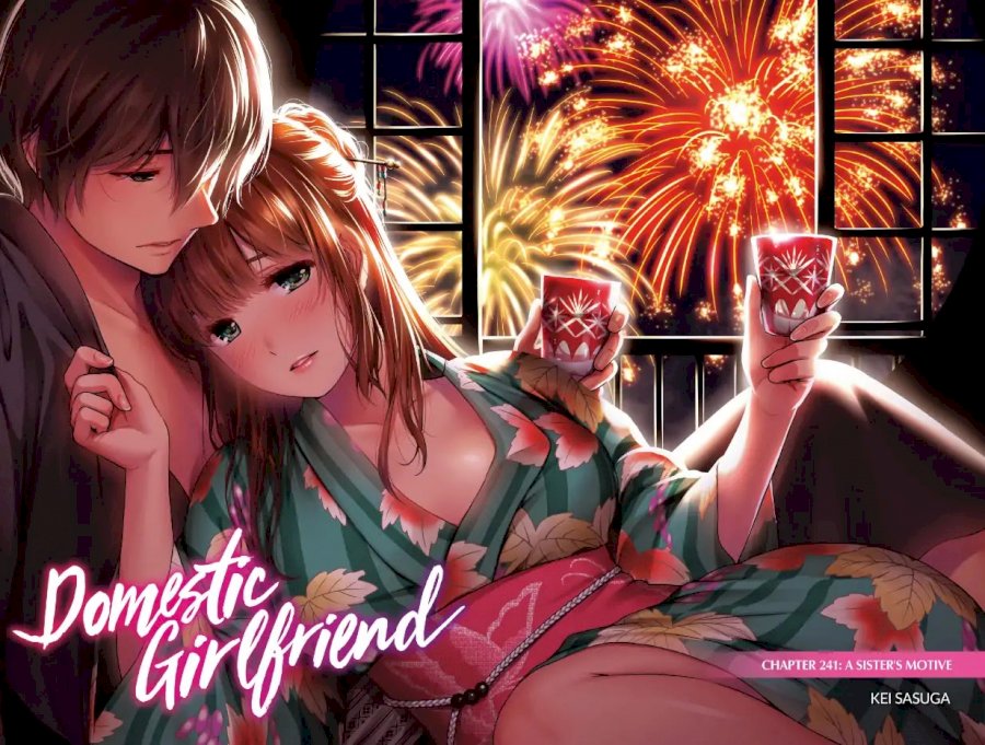 Domestic na Kanojo - Chapter 241 [photo 1] - MangaPorn