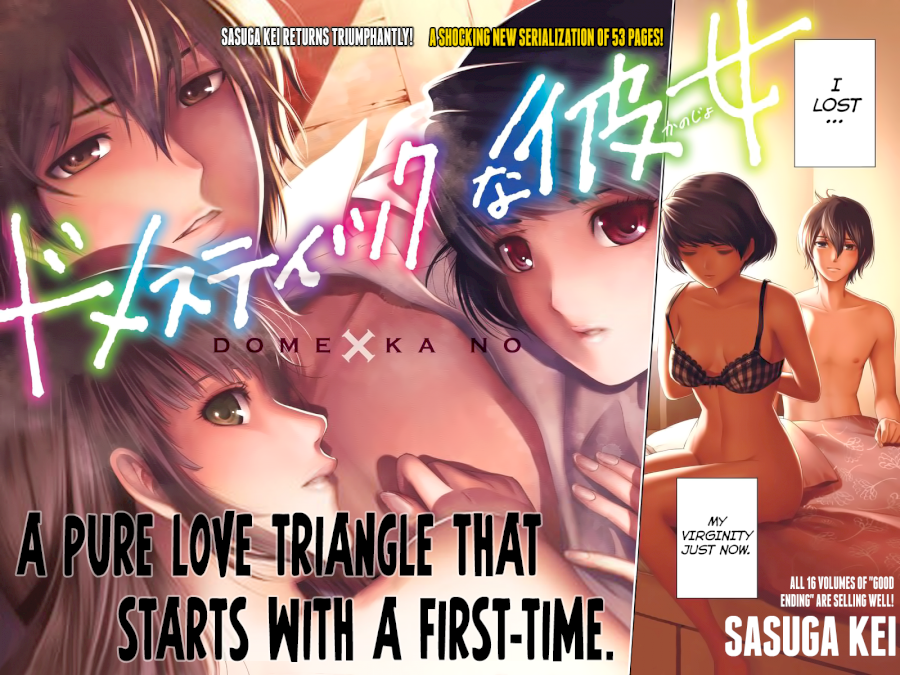 Domestic na Kanojo - Chapter 248 [photo 3] - MangaPorn