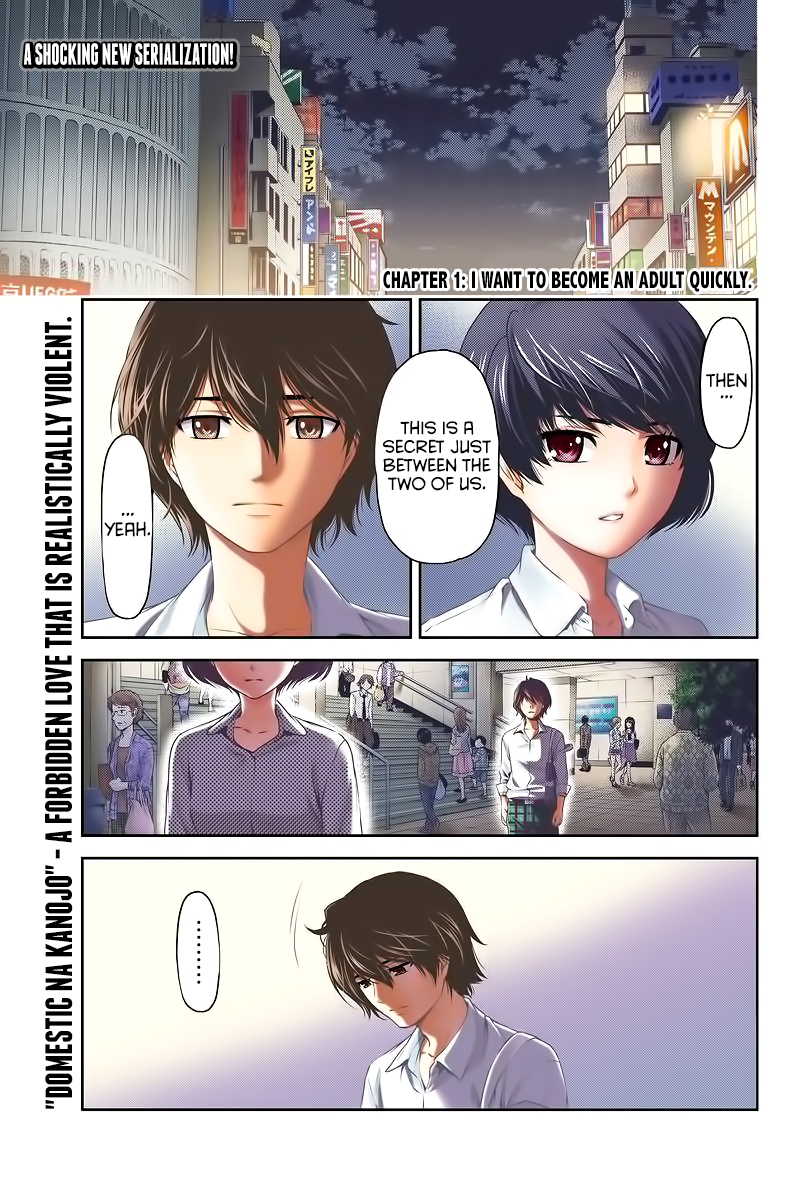 Domestic na Kanojo - Chapter 248 [photo 4] - MangaPorn