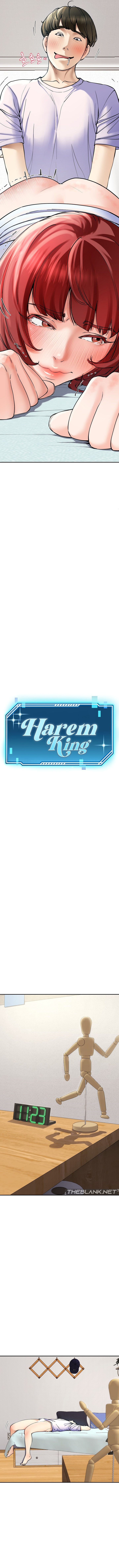 Harem King - Chapter 5 [photo 7] - MangaPorn