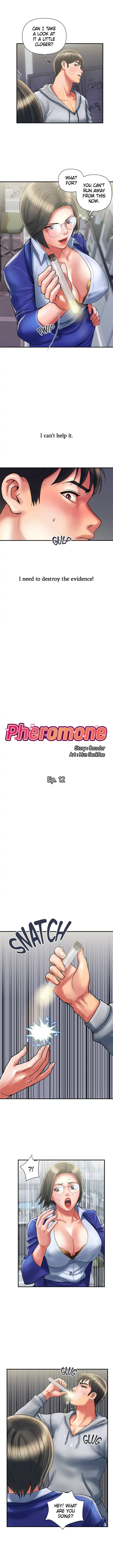 Pheromone - Chapter 12 [photo 2] - MangaPorn
