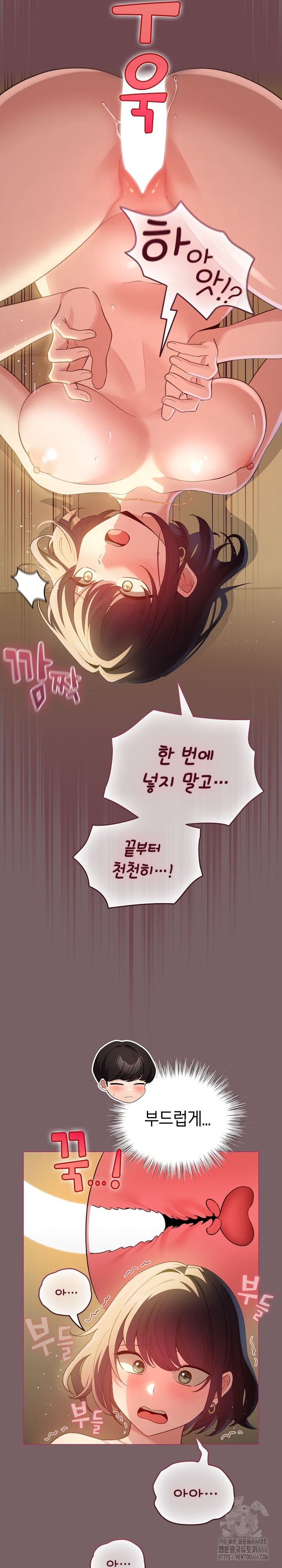 I Became a Pornhwa NPC Raw - Chapter 11 [photo 10] - MangaPorn