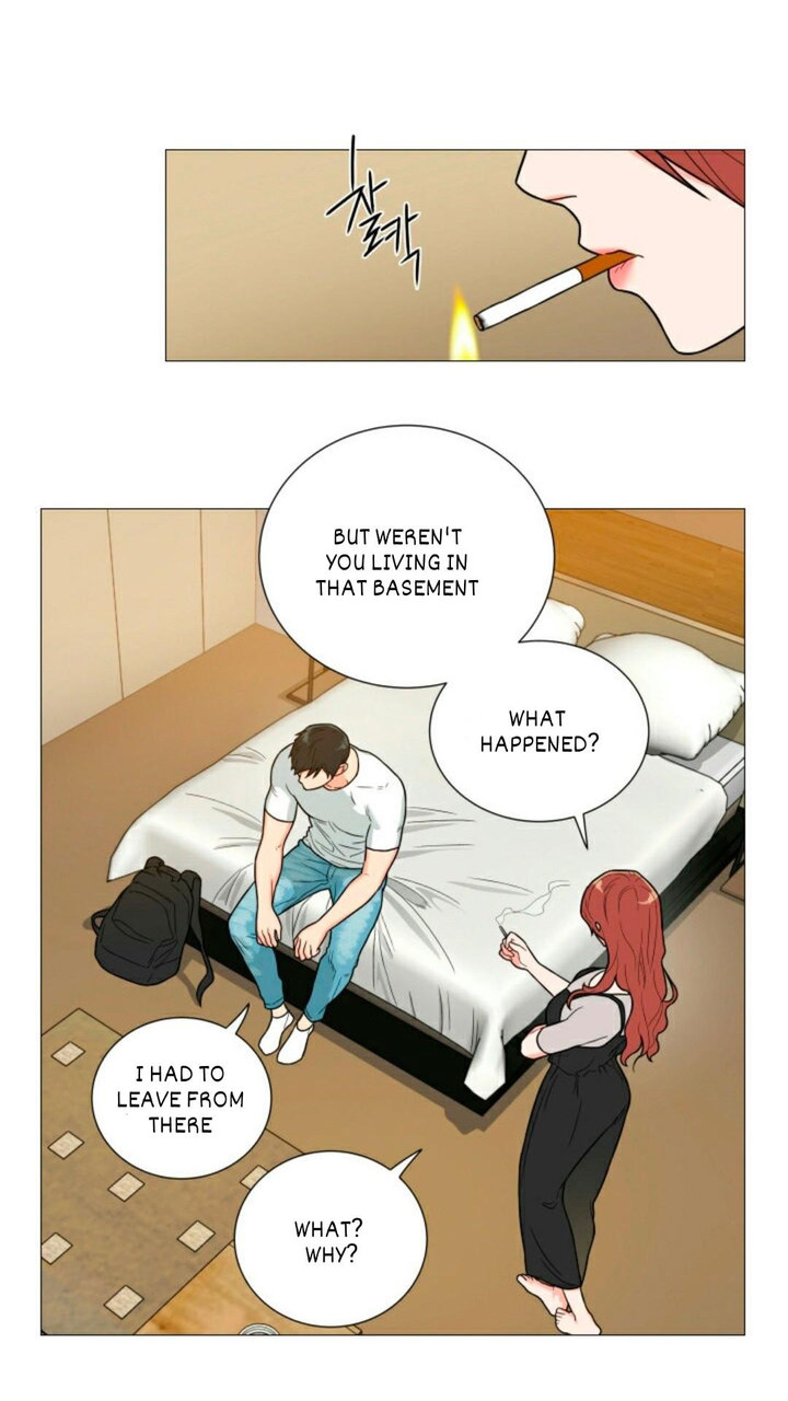 Sadistic Beauty - Chapter 99 [photo 20] - MangaPorn