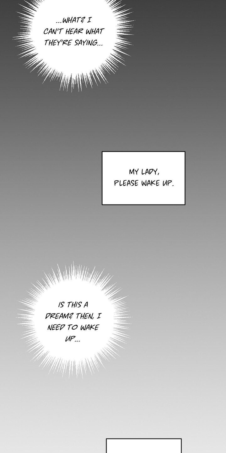 Lady & Maid - Chapter 25 [photo 2] - MangaPorn