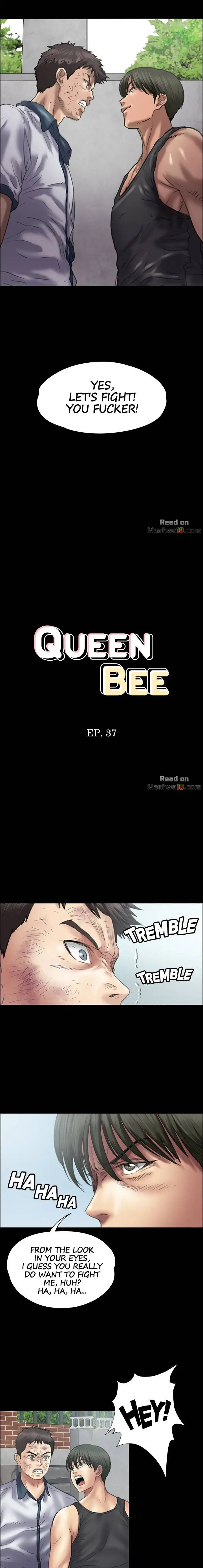 Queen Bee - Chapter 37 [photo 2] - MangaPorn