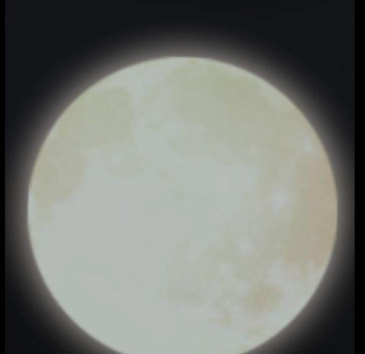 Barefoot : The Leash Season 2 - Chapter 1 [photo 60] - MangaPorn