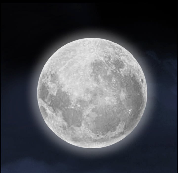 Barefoot : The Leash Season 2 - Chapter 56 [photo 52] - MangaPorn