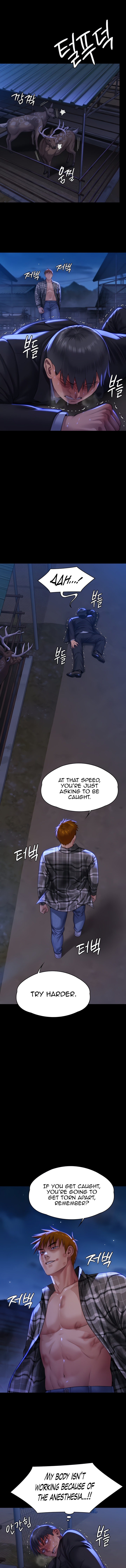 Queen Bee - Chapter 312 [photo 6] - MangaPorn