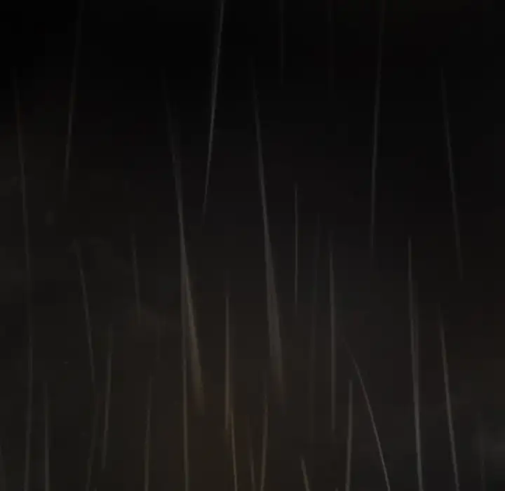 The Two Newcomers - Chapter 10 [photo 77] - MangaPorn