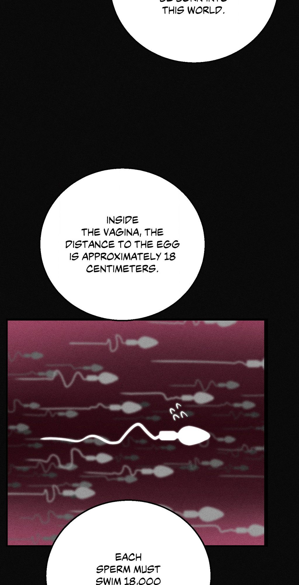 Seniors of Class 5 - Chapter 76 [photo 26] - MangaPorn