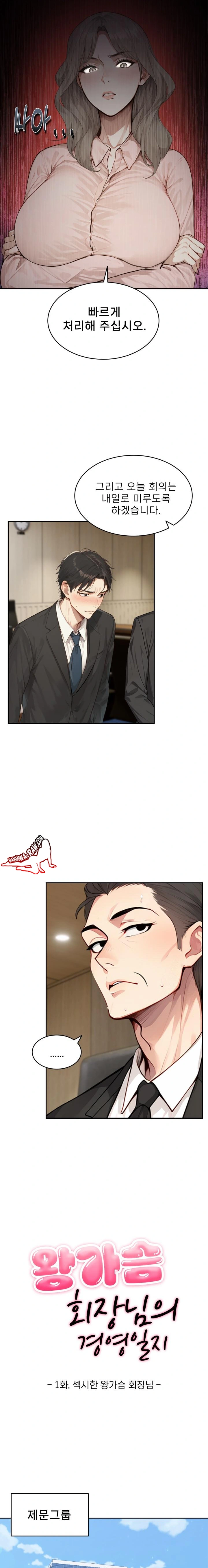 The Management Diary of the Big-Breasted Chairman Raw - Chapter 1 [photo 11] - MangaPorn