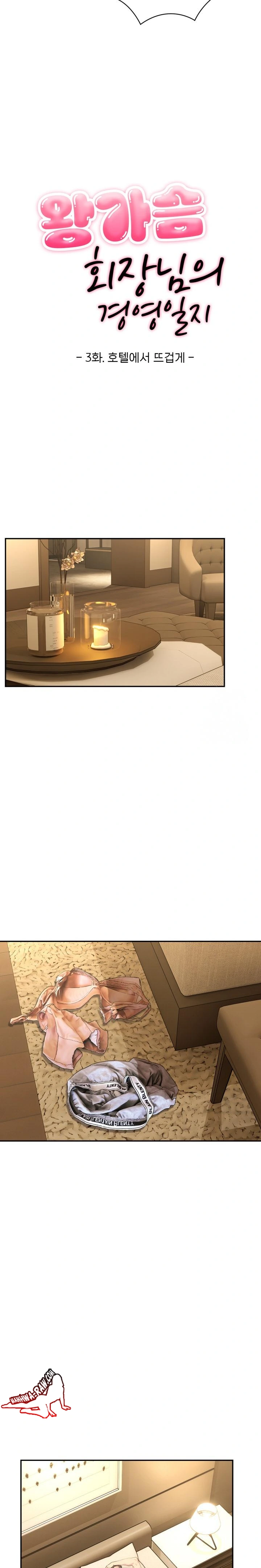 The Management Diary of the Big-Breasted Chairman Raw - Chapter 3 [photo 11] - MangaPorn