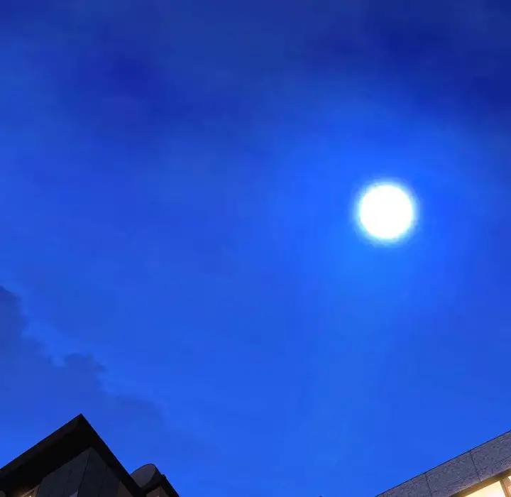 Her Toy Shop - Chapter 28 [photo 57] - MangaPorn