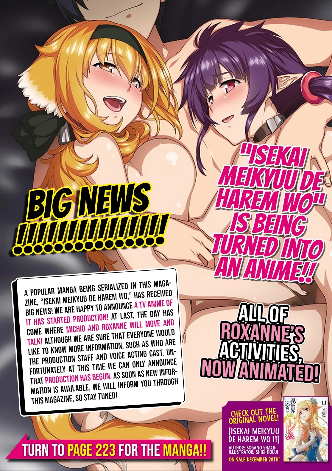 Isekai Meikyuu de Harem wo - Chapter 44 [photo 2] - MangaPorn