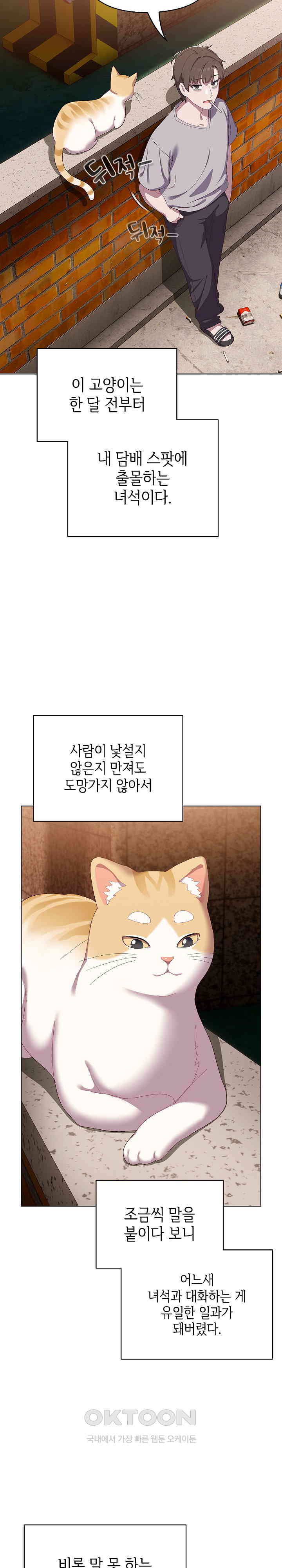 The General Is Here! Raw - Chapter 1 [photo 15] - MangaPorn