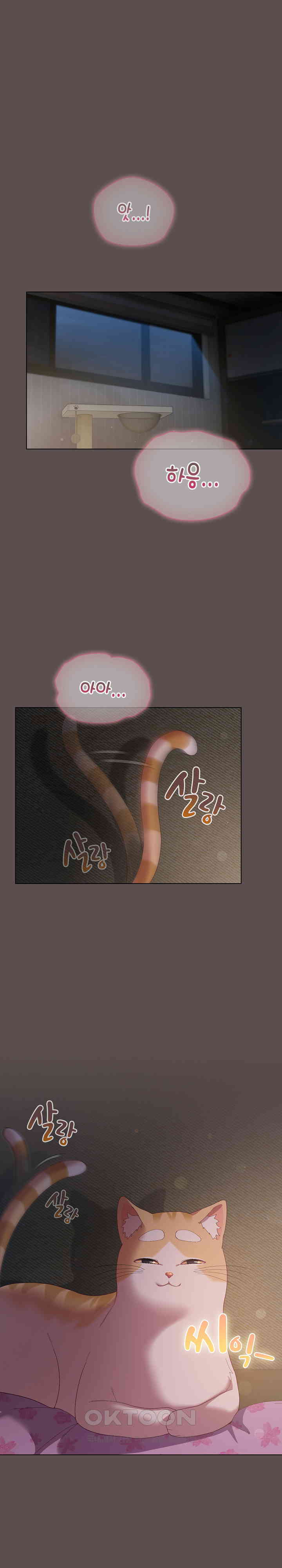 The General Is Here! Raw - Chapter 7 [photo 1] - MangaPorn