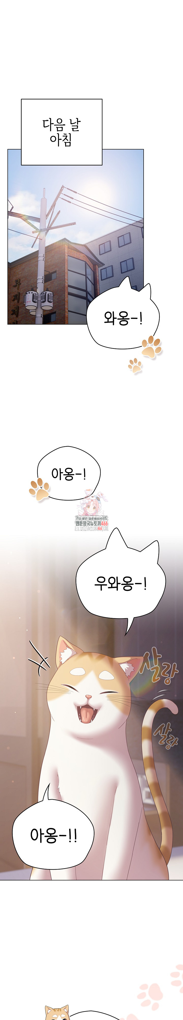 The General Is Here! Raw - Chapter 18 [photo 1] - MangaPorn