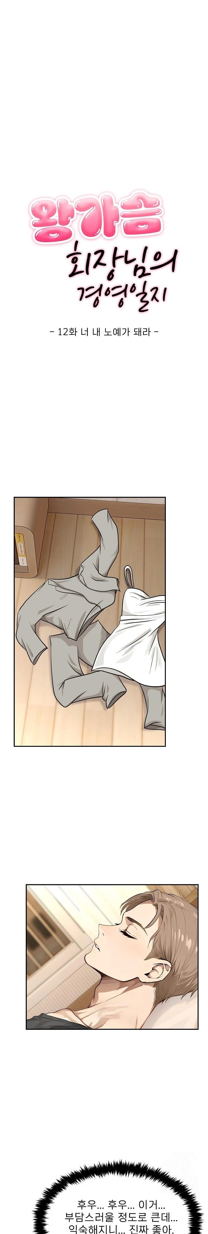 The Management Diary of the Big-Breasted Chairman Raw - Chapter 12 [photo 1] - MangaPorn