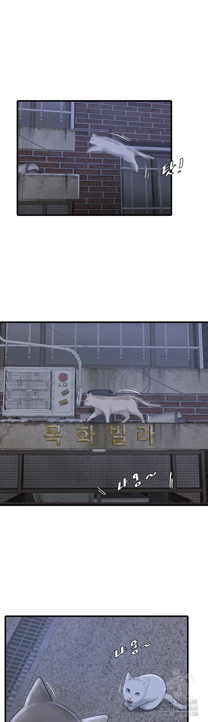 Ajummas Inspection Diary Raw - Chapter 78 [photo 10] - MangaPorn