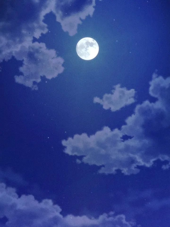 The Chairman’s Secret Son - Chapter 10 [photo 44] - MangaPorn