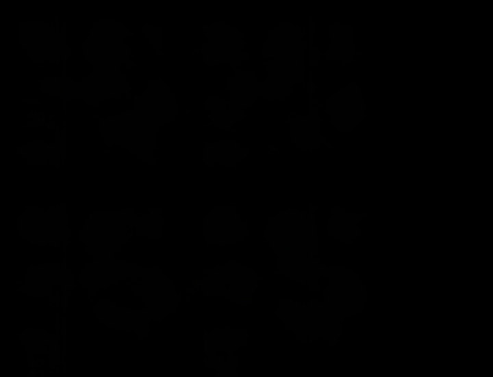 Resume - Chapter 45 [photo 14] - MangaPorn