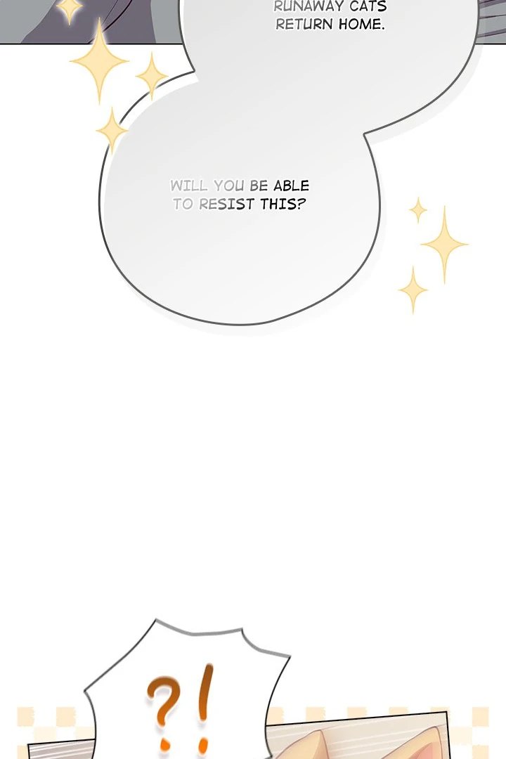 The General Is Here! - Chapter 33 [photo 65] - MangaPorn