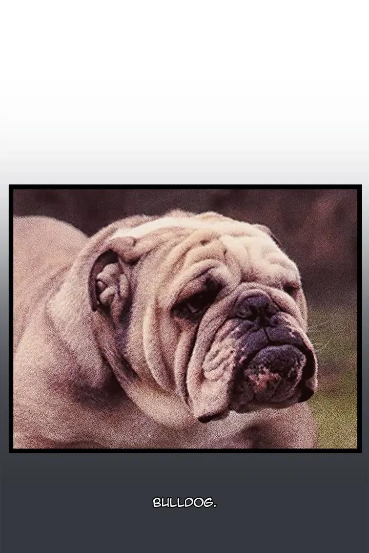 From Weakling to Nemesis - Chapter 7 [photo 1] - MangaPorn