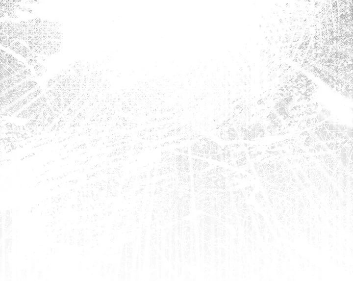 The General Is Here! - Chapter 39 [photo 80] - MangaPorn