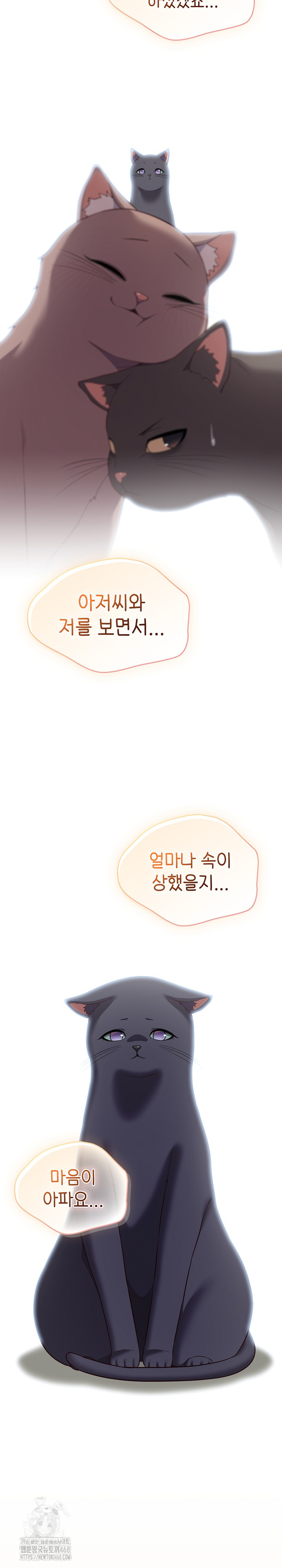 The General Is Here! Raw - Chapter 46 [photo 9] - MangaPorn